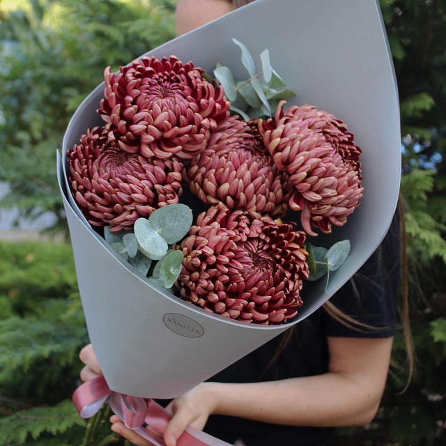 Цветы на праздник: Букет из 5 хризантем Бигуди с эвкалиптом