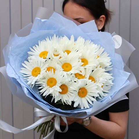 Букеты ромашек: Букет из 19 больших ромашек