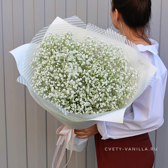 Гипсофила "Белоснежная" - изображение 2