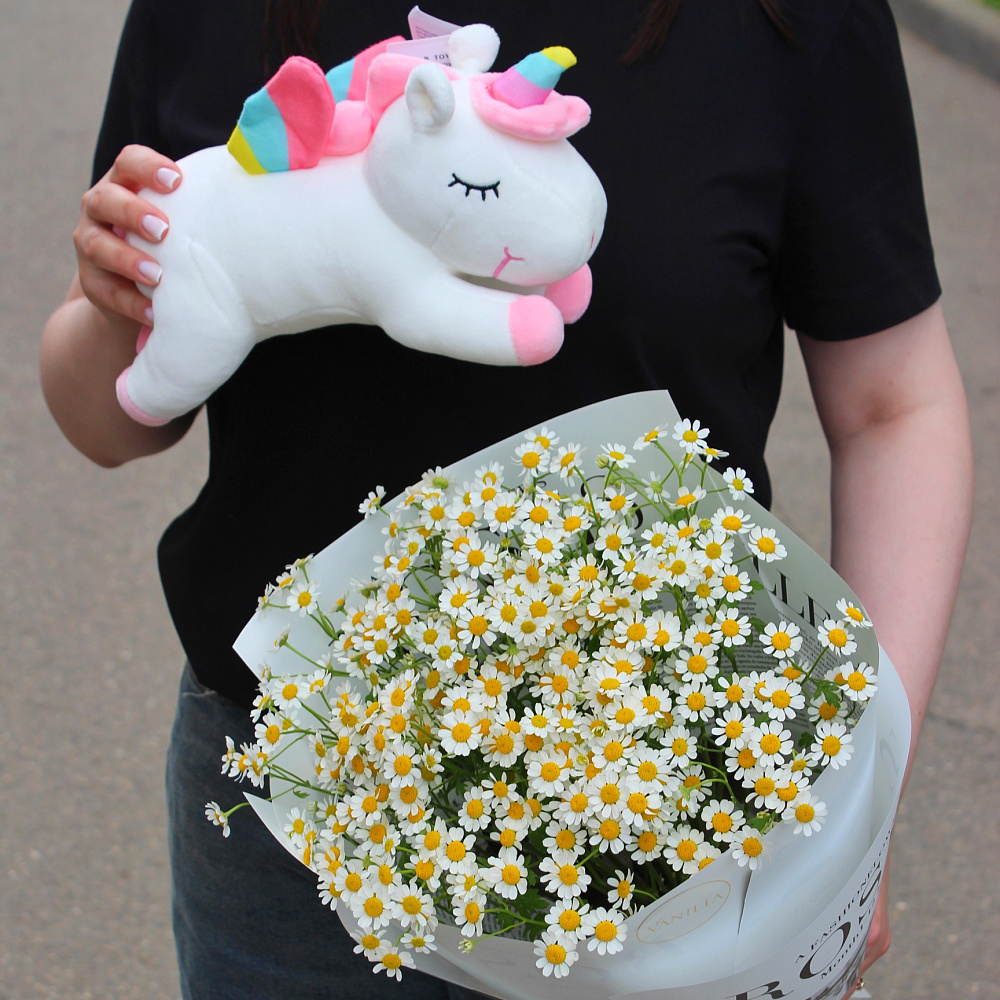Набор из букета милых ромашек и игрушки
