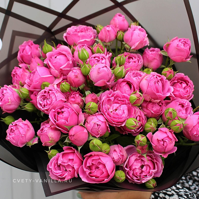 Пионовидные розы Мисти Баблс в черном оформлении