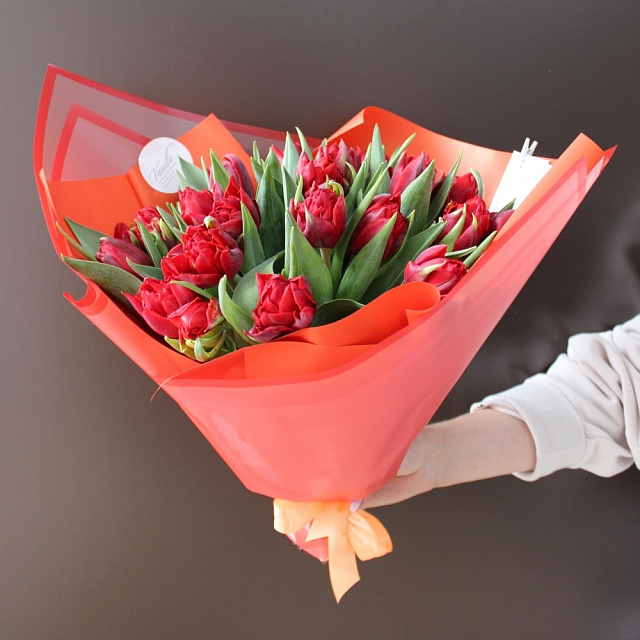Цветы на праздник: Букет из 25 красных пионовидных тюльпанов