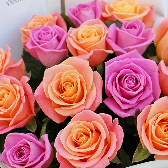 Цветы на 14 февраля: 17 роз микс