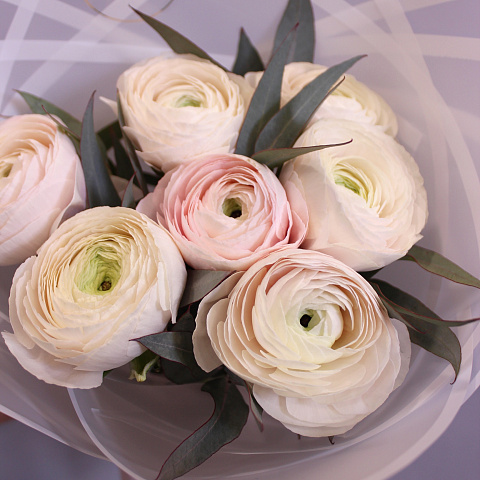 Букет ранункулюсов: Букет из 7 шт ранункулюса Ханой