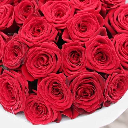 Цветы на 14 февраля: Букет из 29 красных роз 50 см