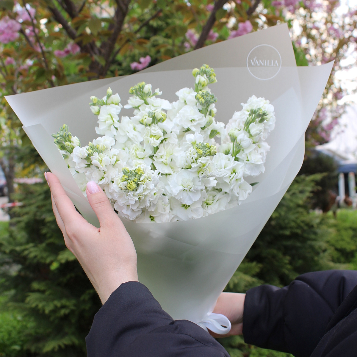 Букет из белой матиолы в оформлении