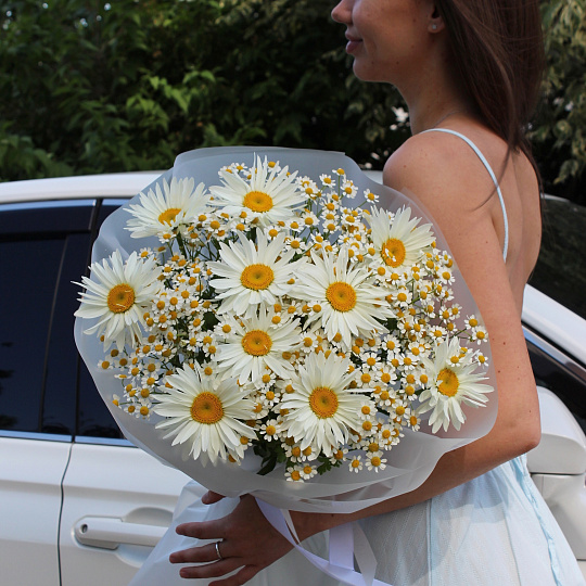 Микс ромашек "Лето"