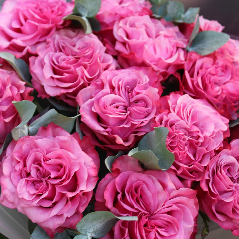 Букет из розы Кантри Блюз и эвкалипта