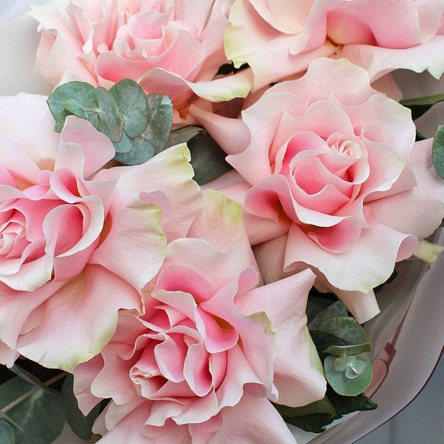 Цветы на праздник: Букет из 5 роз Pink Mondial с эвкалиптом