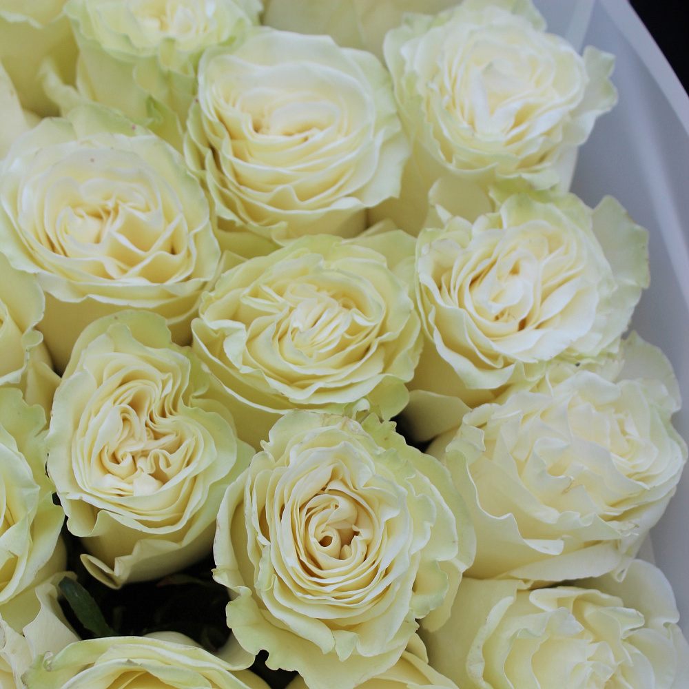 Букет из 51 белой розы Мондиаль 70 см