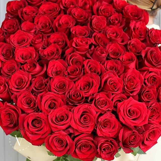 Бизнес букеты: Букет из 75 роз Explorer 90 см