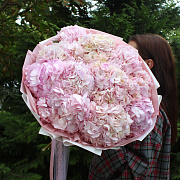 Букет из гортензии "Pink"