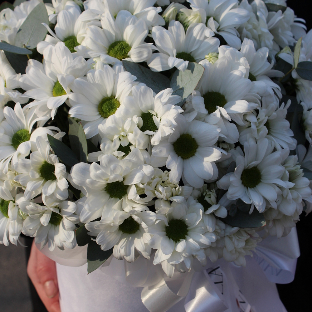 Белые хризантемы в цилиндре