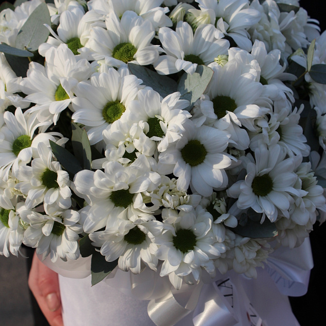 Букеты для жены: Белые хризантемы в цилиндре