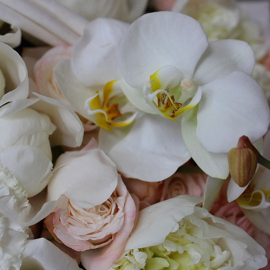 Ароматная корзина «Нежность пиона»