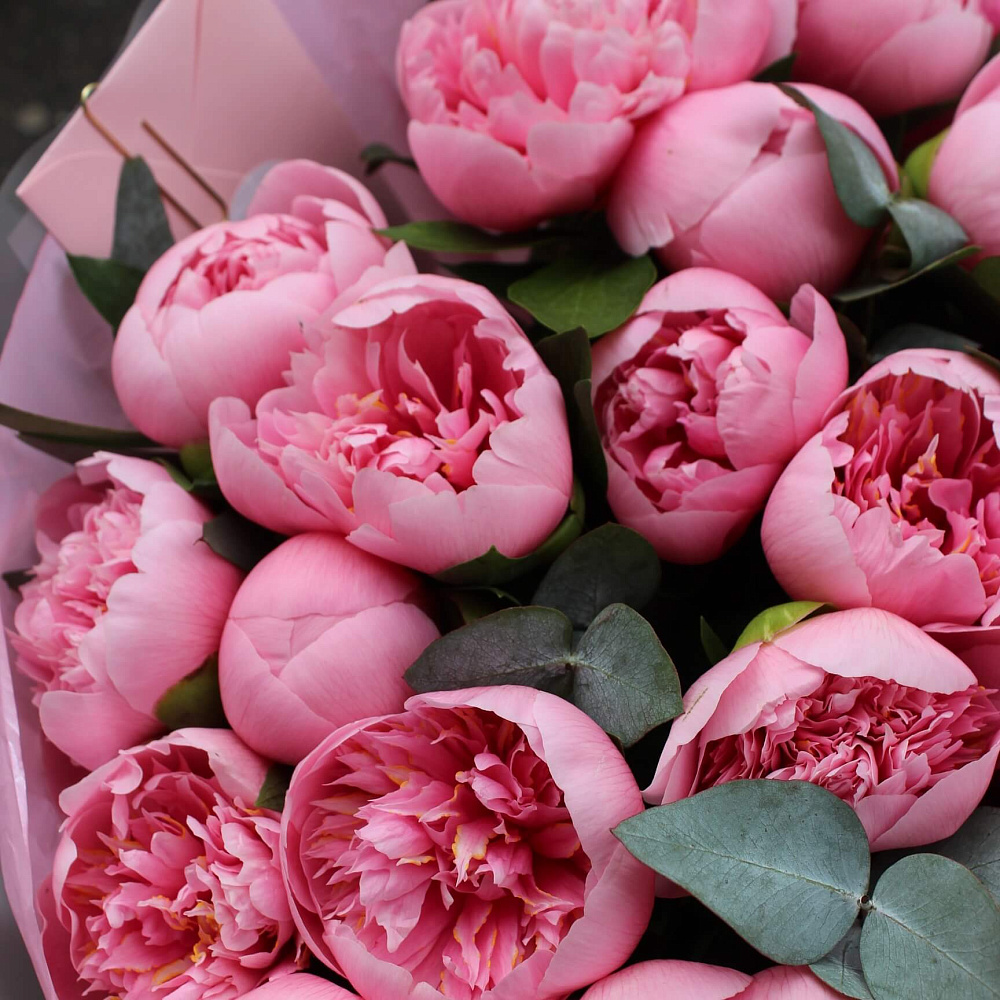 Букет пионов "Salmon"