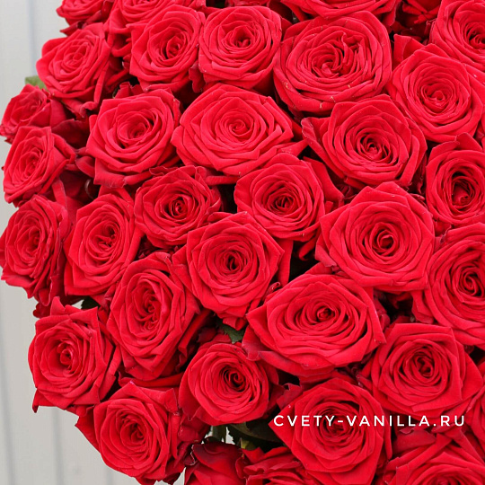 Букет из 101 длинной розы 80 см