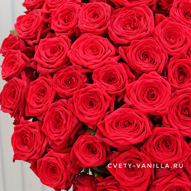 Большие букеты: Букет из 101 длинной розы 80 см