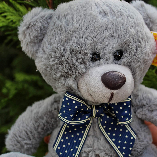 Мягкие игрушки: Мягкий плюшевый мишка