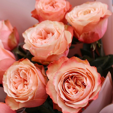 Недорогие букеты: Букет из 9 пионовидных роз Kahala