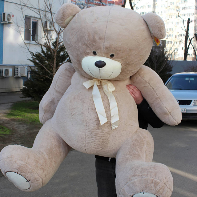 Очаровательный большой мишка - изображение 2