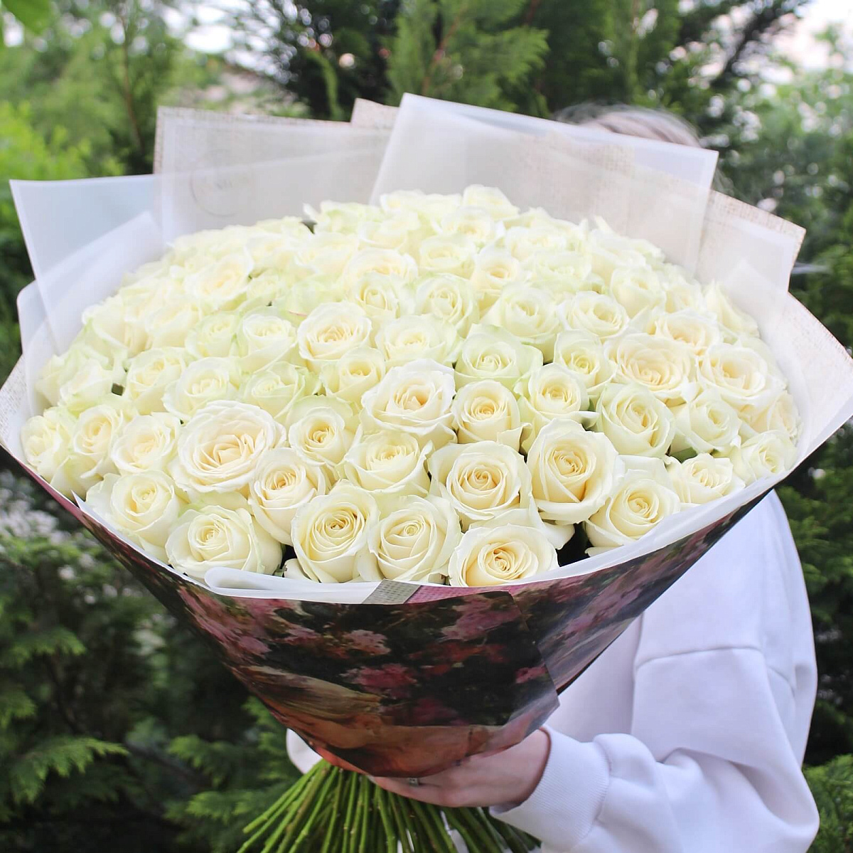 77 белых роз Аваланж 60 см