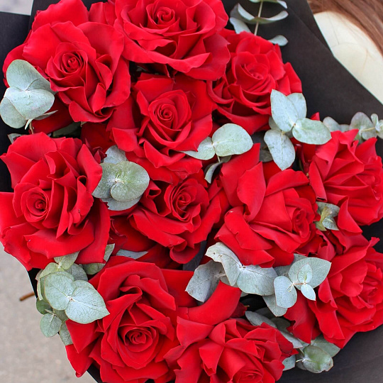 Цветы на 14 февраля: 11 вывернутых роз Эксплорер в черном оформлении