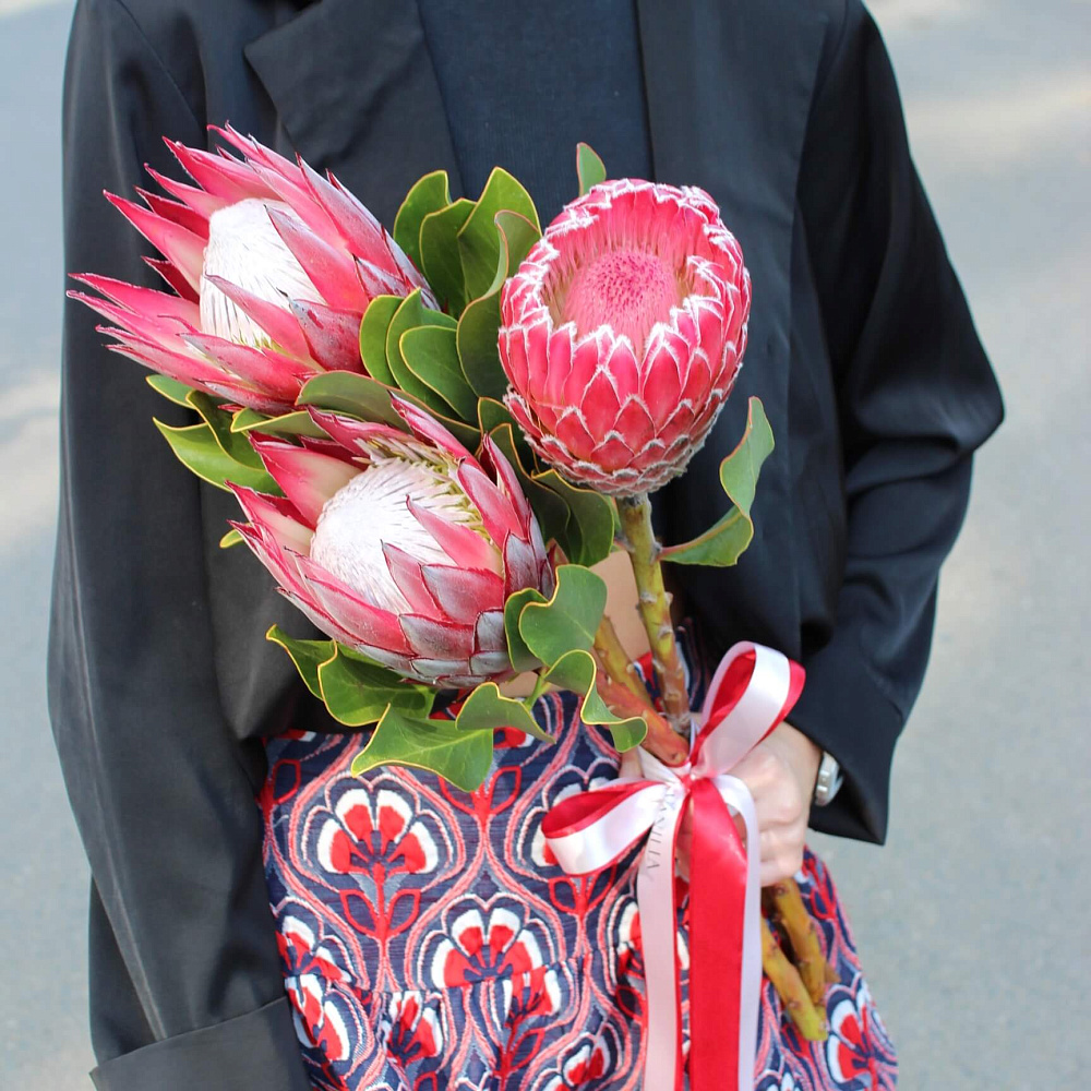 Букет из протеи