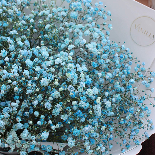 Букет из 7 веток голубой гипсофилы