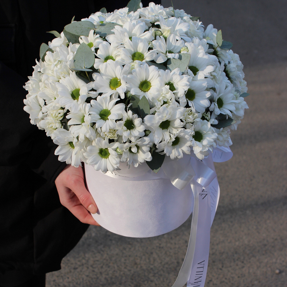 Белые хризантемы в цилиндре