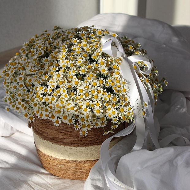 Корзинка с ромашками