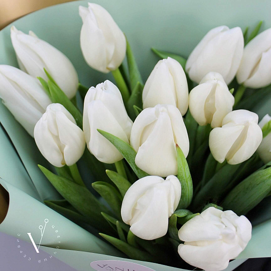 Подарки на 14 февраля: 15 тюльпанов в стильном оформлении