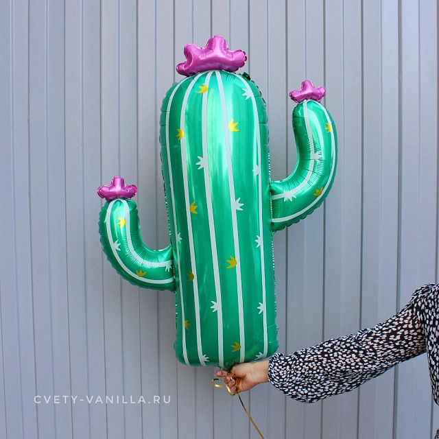 Фольгированный шар Кактус - изображение 2