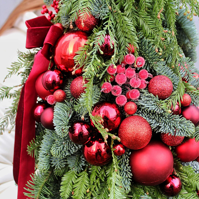 Ель декоративная Нобилис