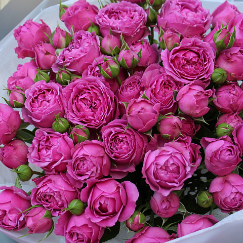 Новинки букетов 2026: Букет  из кустовыx розы "Мисти Баблс" 50 см