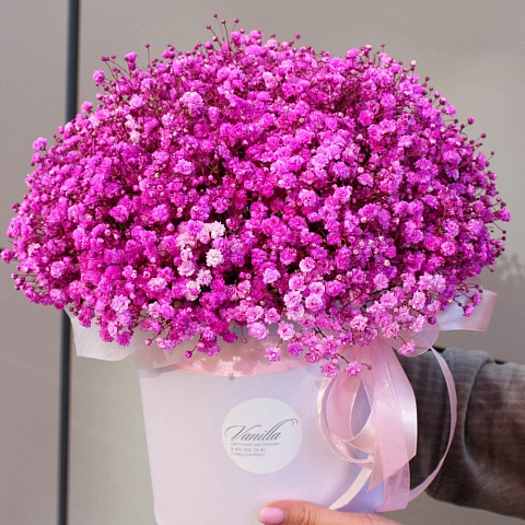 Букеты гипсофилов: Розовая гипсофила в цилиндре