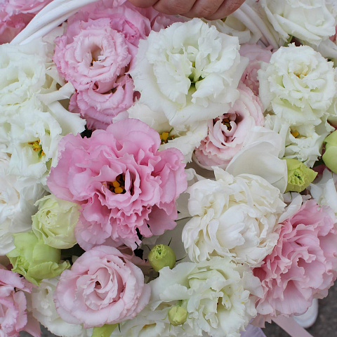 Корзины с цветами: Корзинка с эустомой