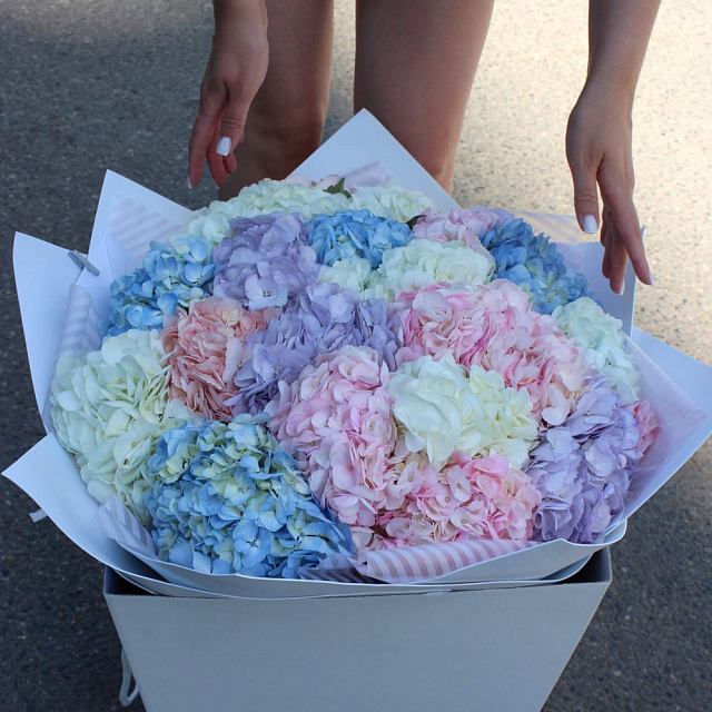 Микс из гортензий разноцветных - изображение 2