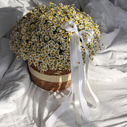 Корзинка с ромашками