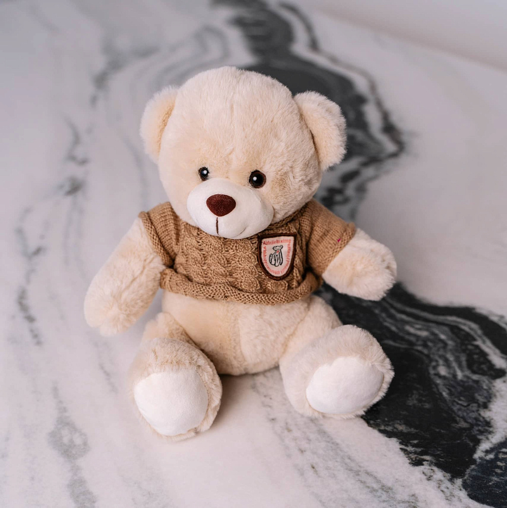 Милый медвежонок в свитере