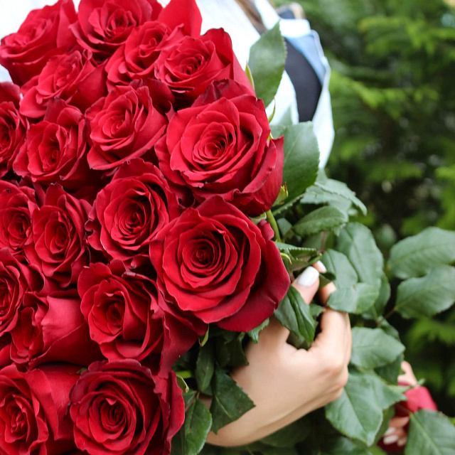 25 роз: 25 метровых голландских роз