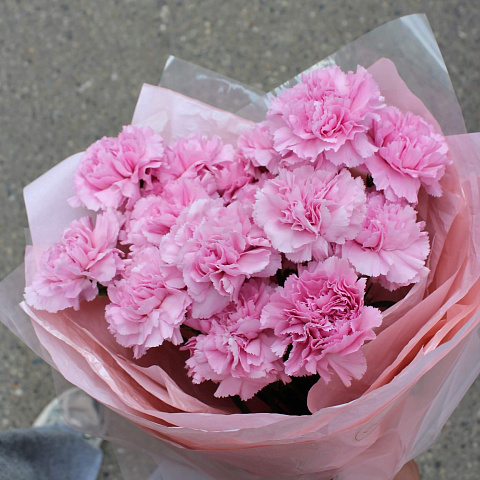 Гвоздики: Букет из 15 диантусов в оформлении