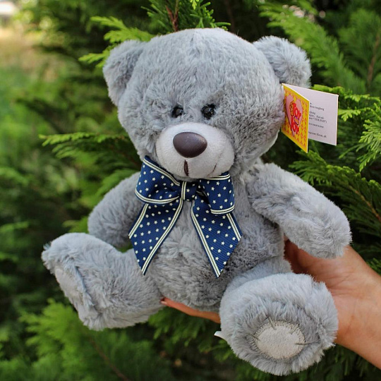 Мягкий плюшевый мишка - изображение 2