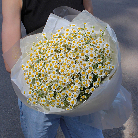Букеты ромашек: Букет из полевых ромашек