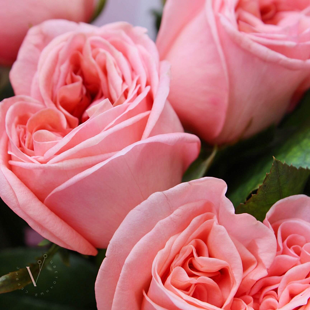 Цветы на праздник: Букет из 11 роз Лондон Ай 50 см