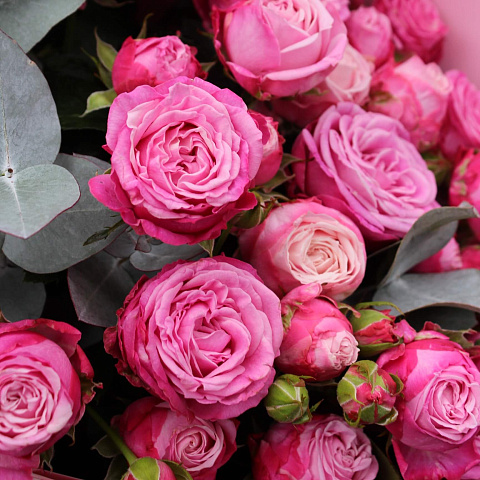 Букеты для ребенка: 7 веток кустовой розы «Леди»