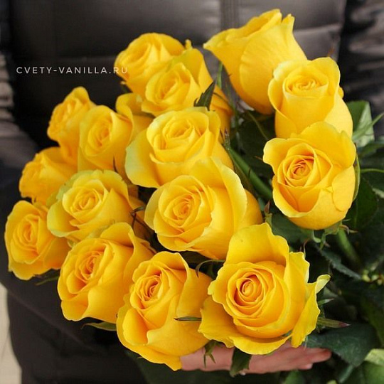 15 голландских желтых роз 60 см