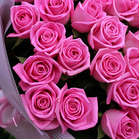Розовые розы: Букет из 51 розы Аква 60 см