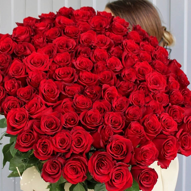 Бизнес букеты: Букет из 101 розы Explorer 90 см
