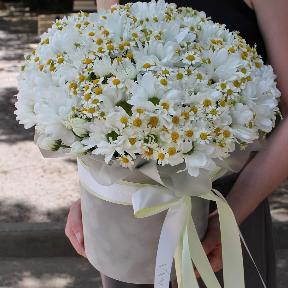 Букет ромашек в бархатном цилиндре